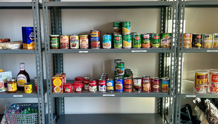 Rows of cans on the shelves