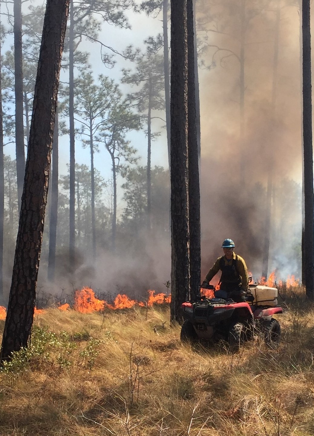Ben conducting a prescribed fire