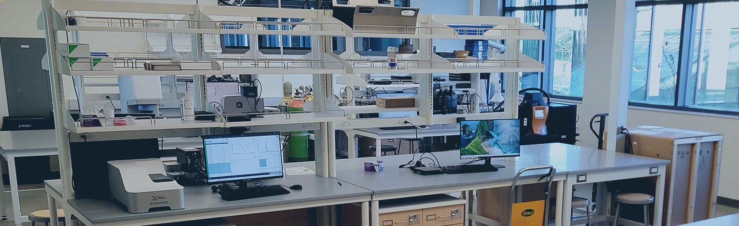 CMR Lab