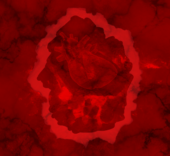 Decorative Image