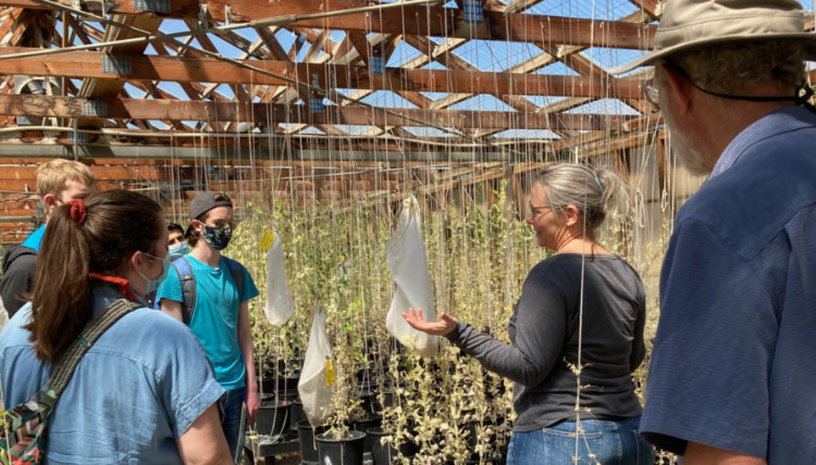 Students in a green house with scientist
