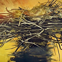 Mary Farrell artwork
