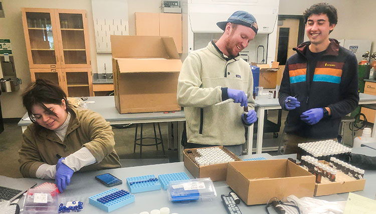 environmental engineering lab