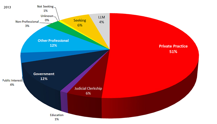 2013 Employment Statistics: Private Practice - 51%, Government - 12%, Other Professional - 12%, Seeking - 6%, Judicial Clerkship - 6%, Public Interest - 4%, LLM - 4%, Non-Professional - 3%, Not Seeking - 1%, Education - 1%, Unknown - 0%