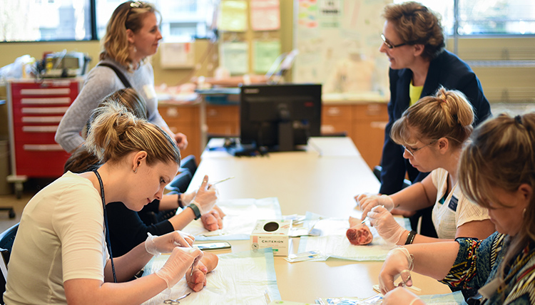 Gonzaga's School of Nursing and Human Physiology Nursing Department Open House demo of stitching with pig feet