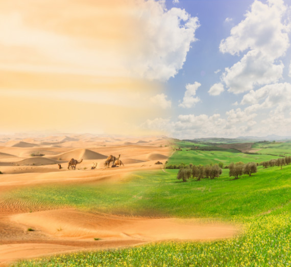 Climate change futures