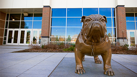 Bronze Bulldog