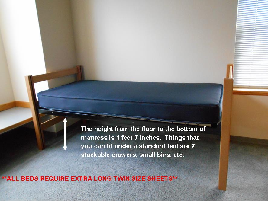 standard bed height 