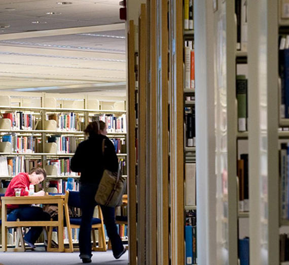 Students study in Foley Library.