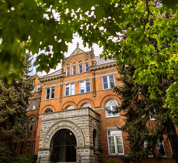 College Hall Entrance framed by green leaves and tree branches