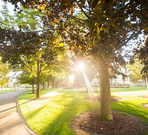 Morning at Gonzaga University. 