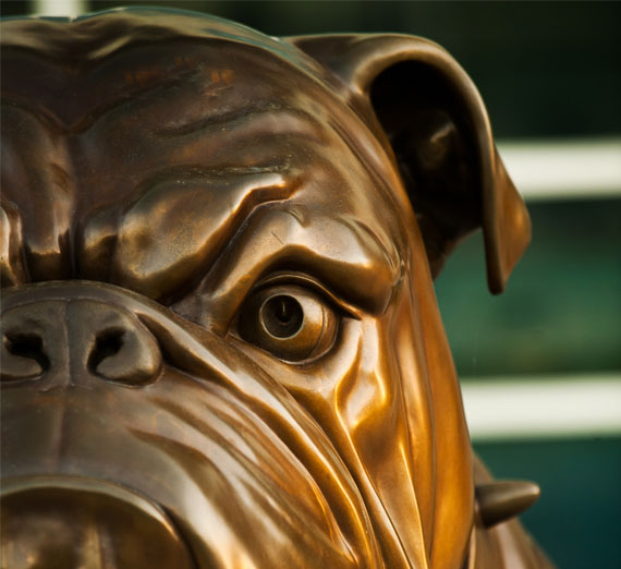 Statue of spike the bulldog 