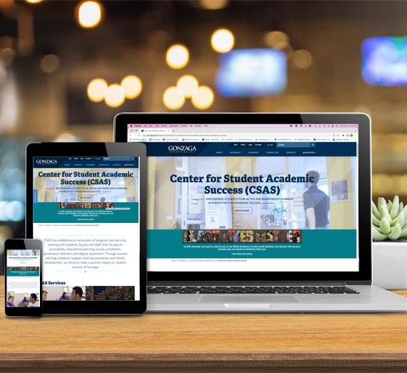 CSAS Website Redesign Sample