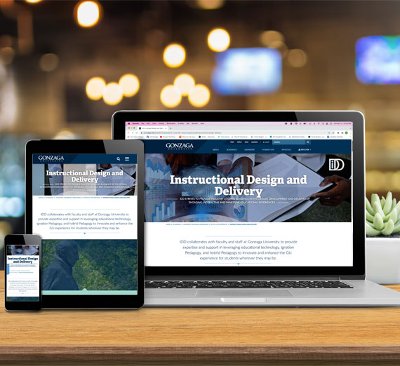 IDD Website Redesign Sample
