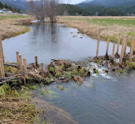woven beaver dam analog on a stream