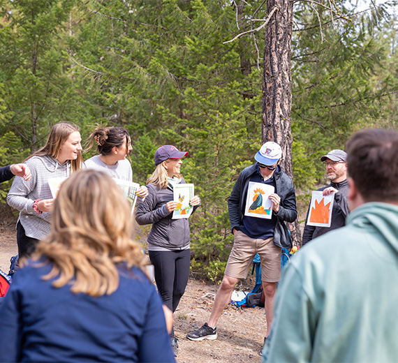 Teambuilding Exercise