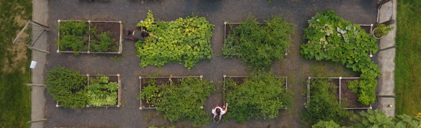 Drone view of the community garden