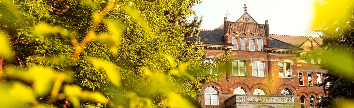 View of college hall between trees.