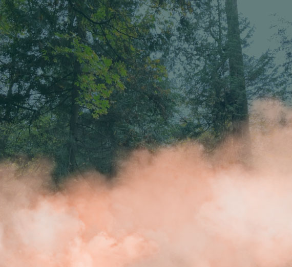Orange smoke rising in front of green trees in a forest.