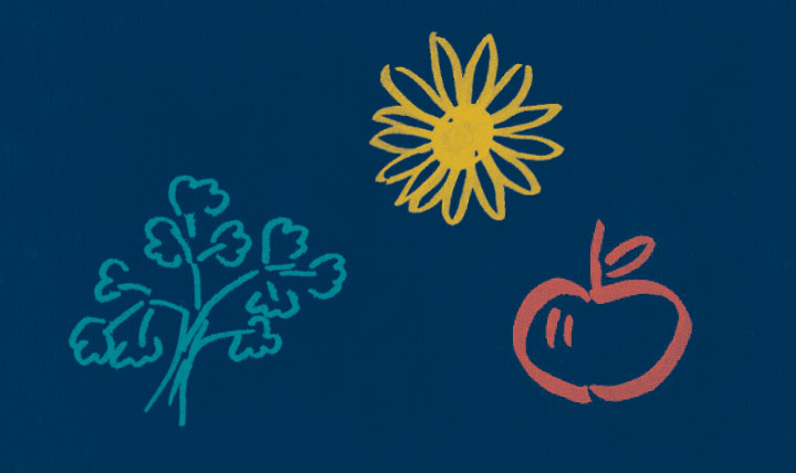 line drawings of trees, sun and apple