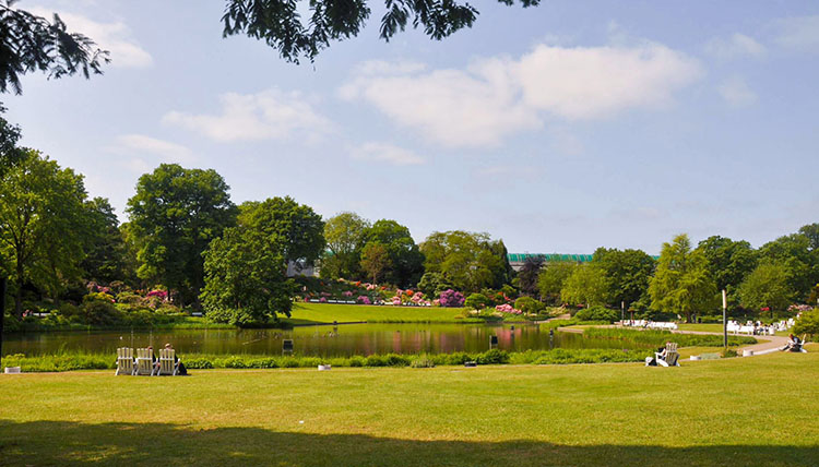 garden