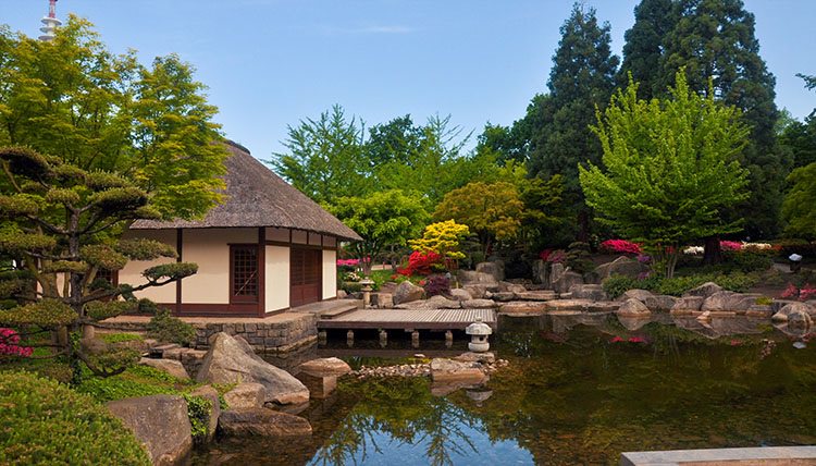 garden