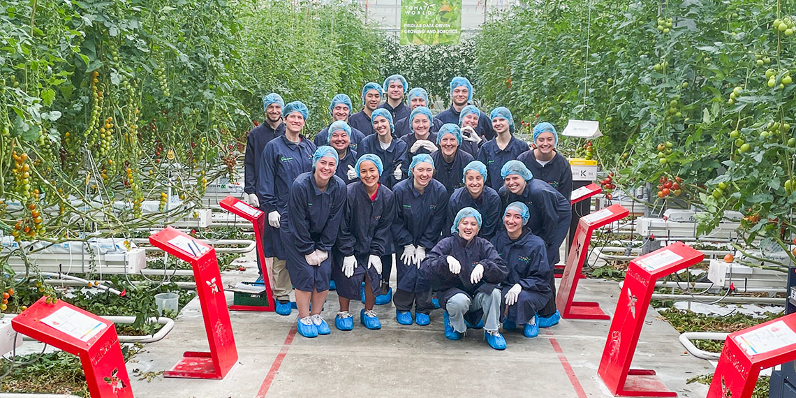 greenhouse