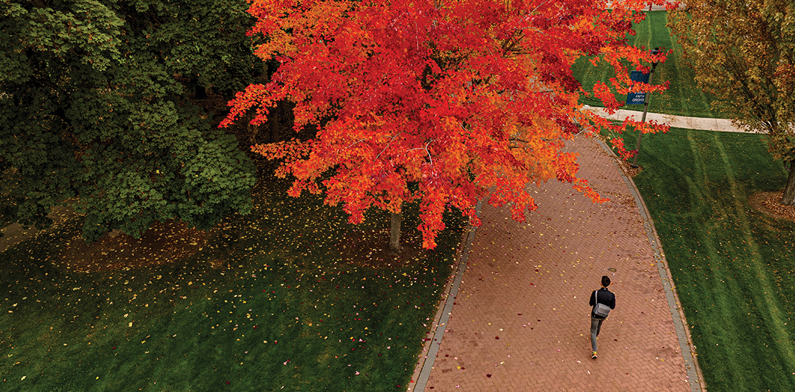 Fall leaves on Gonzaga's campus.