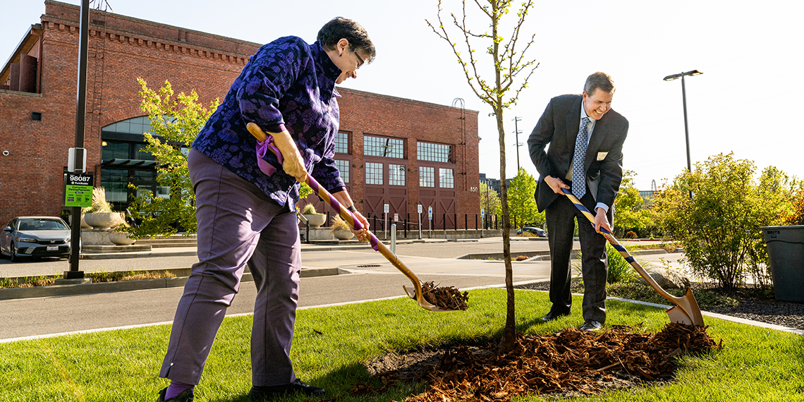 two individuals shovel dirt around a newly planted tree