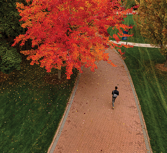 Fall leaves on Gonzaga's campus.