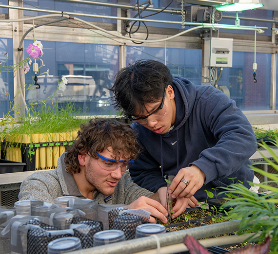 Two people study a plant in a greenhouse.
