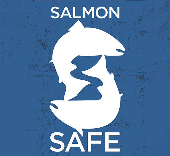 The words Salmon Safe with two fish swimming 
