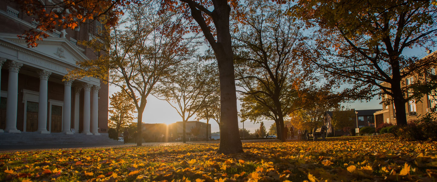 Front of St.Als during the fall 